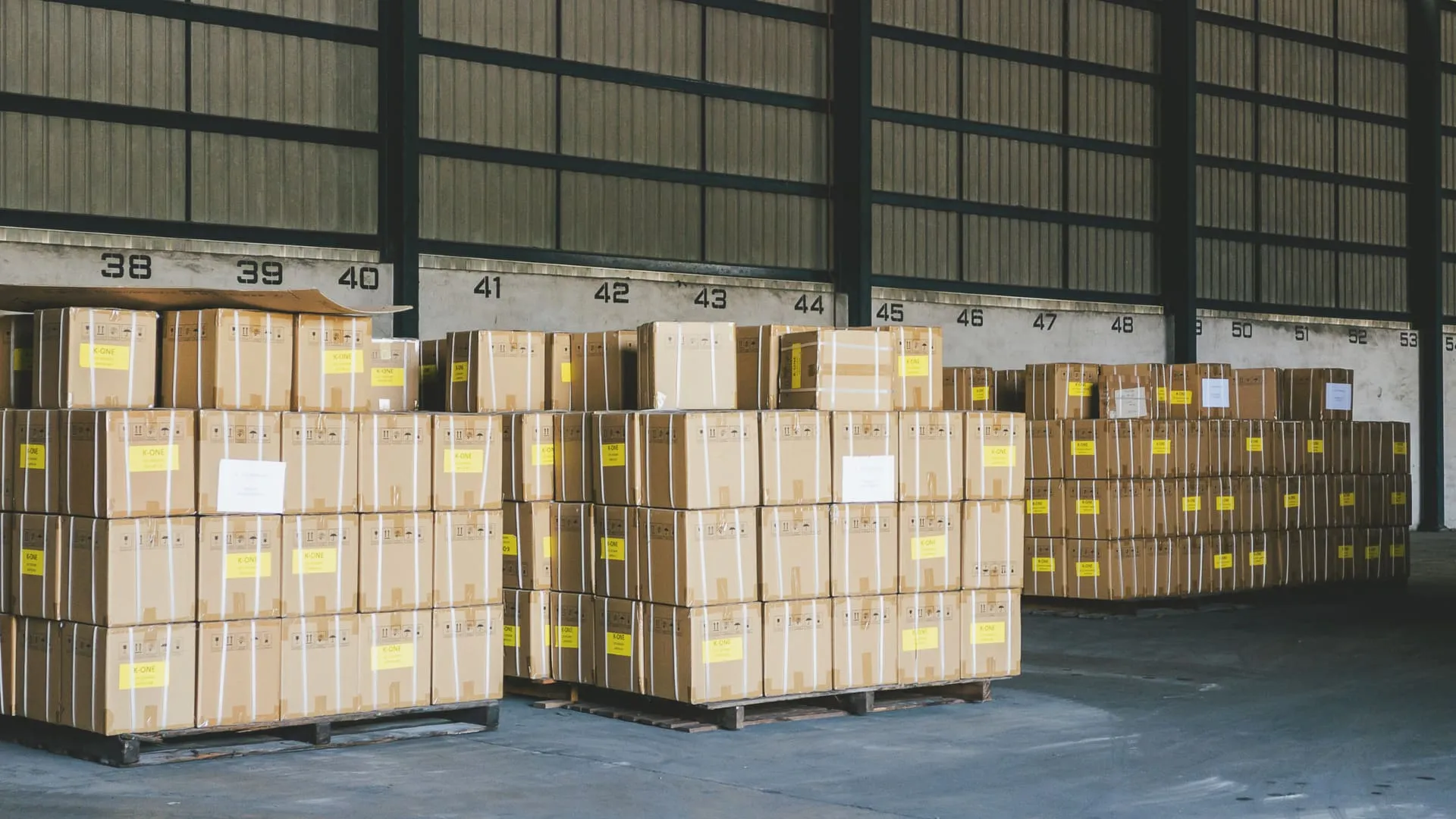 Palletized freight staged inside a warehouse beside its loading bays